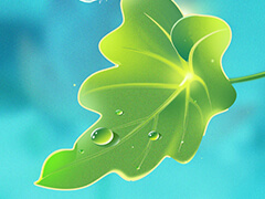 李強主持召開國務(wù)院常務(wù)會議